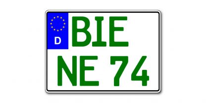 Grünes Motorrad Kennzeichen EU zweizeilig 280 mm - altes Maß